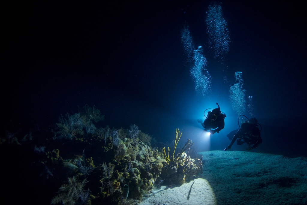 great-barrier-reef-night-divers-padi.jpg