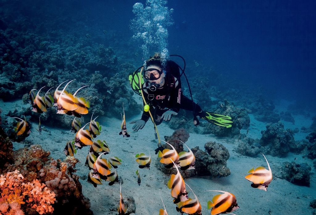 red-sea-211.jpg