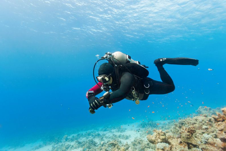 diving-00079vg.900x530.jpg